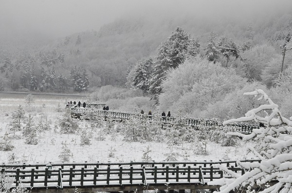 Özlem sona erdi! Ortaya bu tablo çıktı