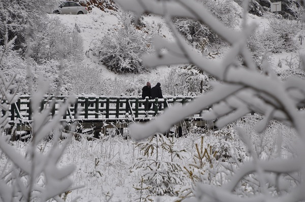 Foto - Özlem sona erdi! Ortaya bu tablo çıktı