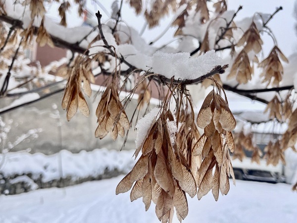 Özlenen kış manzaraları göz kamaştırıyor