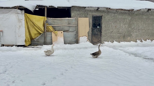 Foto - Özlenen kış manzaraları göz kamaştırıyor