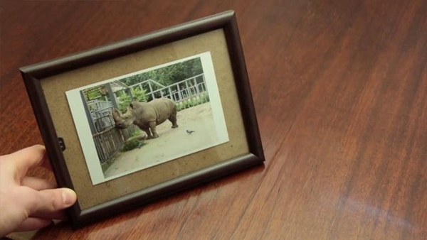 Foto - Paket lastiklerini çöpe atmayın!