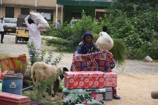 Pakistan ölenlerin sayısı artıyor