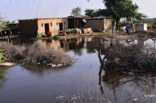 Foto - Pakistan'da ölenlerin sayısı artıyor