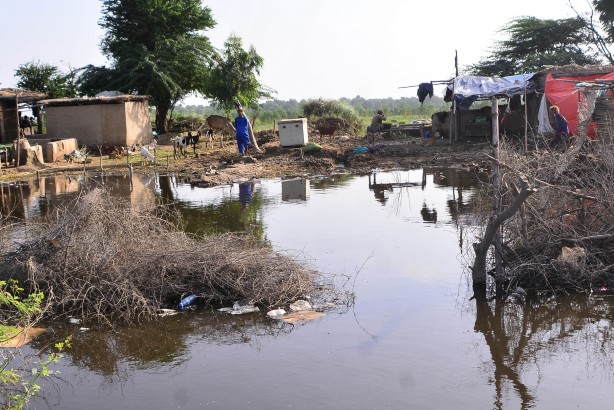 Foto - Pakistan'da ölenlerin sayısı artıyor