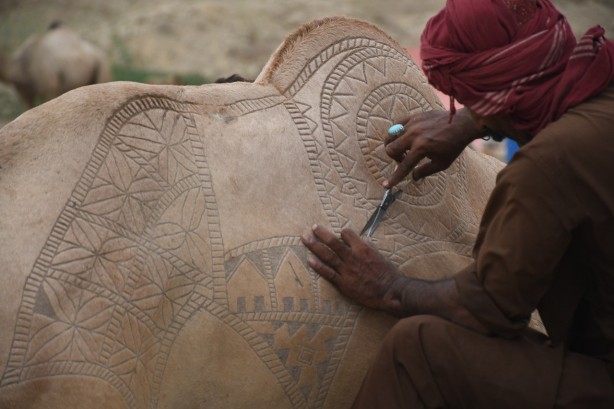 Foto - Pakistan'da Kurban Bayramı'na hazırlık! Süslenen develer renkli görüntüler oluşturdu