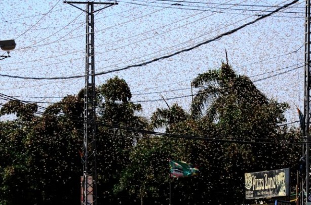 Foto - Pakistan'da OHAL ilan edildi