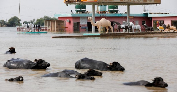 Foto - Pakistan'da sel felaketinin bilançosu artıyor!