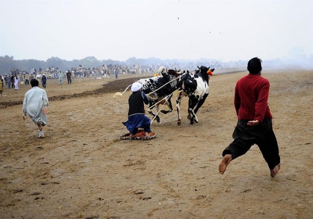 Pakistan'ın 1000 dolarlık geleneği