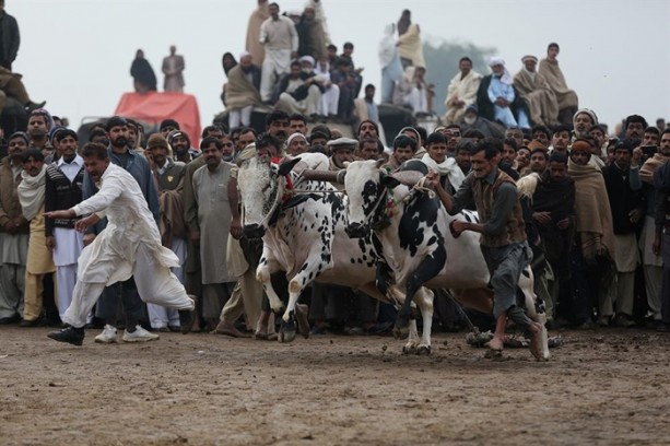 Foto - Pakistan'ın 1000 dolarlık geleneği