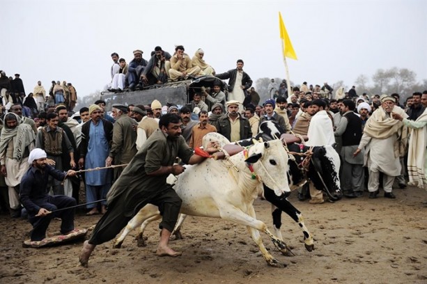 Foto - Pakistan'ın 1000 dolarlık geleneği