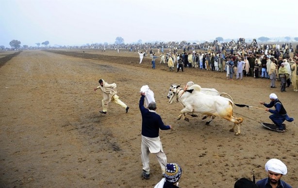 Foto - Pakistan'ın 1000 dolarlık geleneği