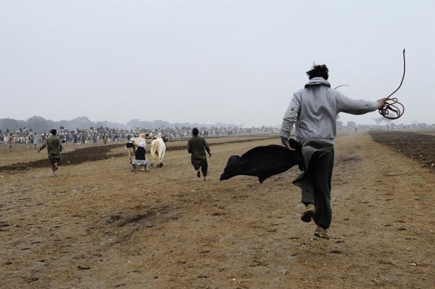 Foto - Pakistan'ın 1000 dolarlık geleneği
