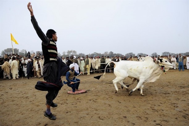 Foto - Pakistan'ın 1000 dolarlık geleneği