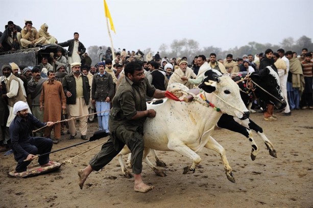 Foto - Pakistan'ın 1000 dolarlık geleneği