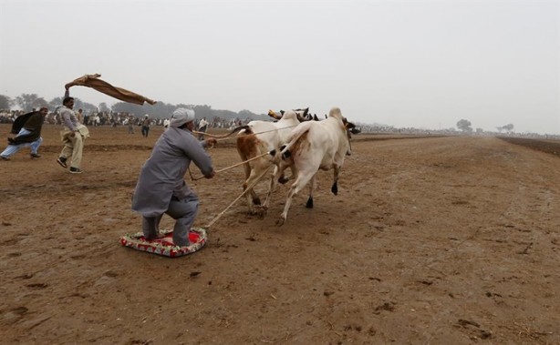 Foto - Pakistan'ın 1000 dolarlık geleneği