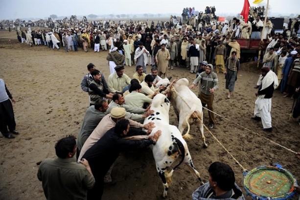 Foto - Pakistan'ın 1000 dolarlık geleneği
