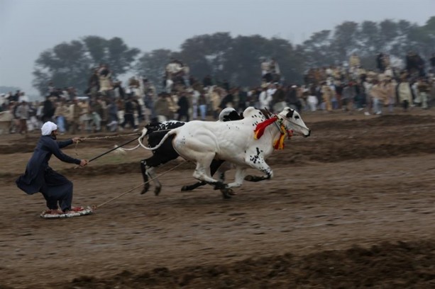 Foto - Pakistan'ın 1000 dolarlık geleneği