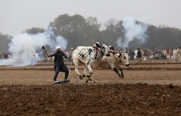 Foto - Pakistan'ın 1000 dolarlık geleneği
