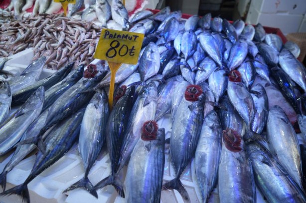 Foto - Palamudun fiyatı neredeyse yarı yarıya düştü
