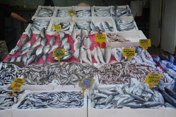 Foto - Palamudun fiyatı neredeyse yarı yarıya düştü