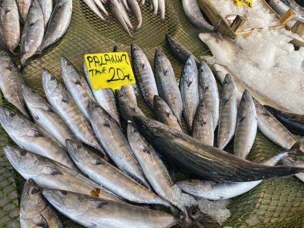 Foto - Palamut bolluğu başladı! Fiyatlar düştü