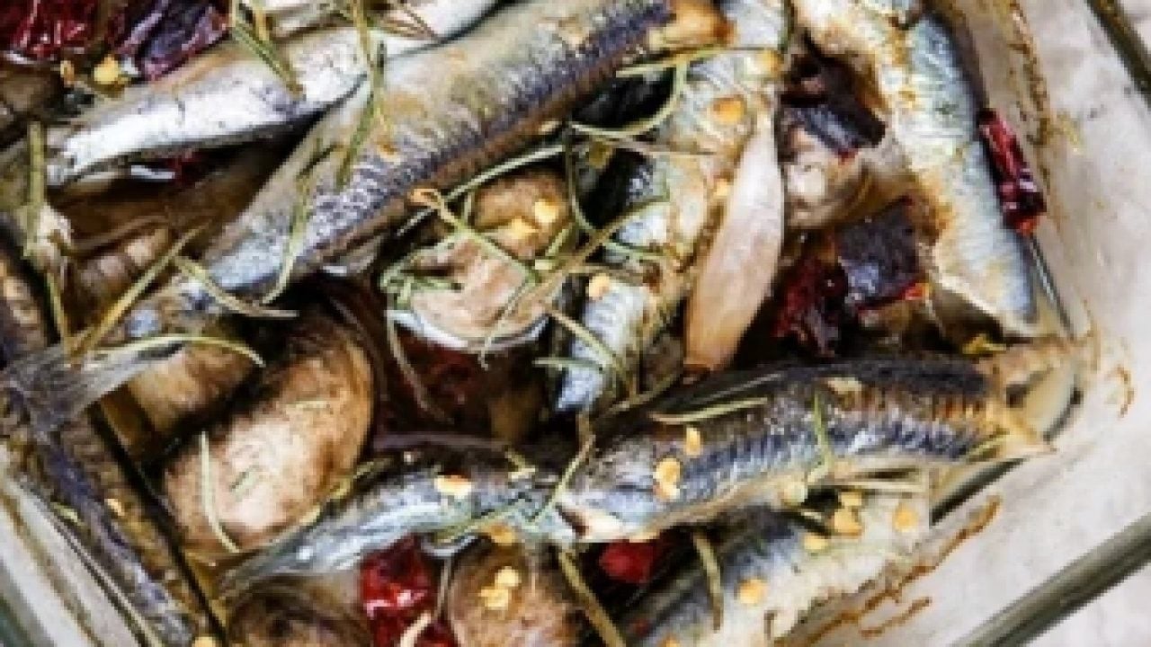 Foto - Omega-3 açısından zengin: En faydalı balık belli oldu!
