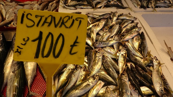 Foto - Palamut fiyatı ne kadar? Güncel balık fiyatları