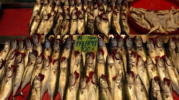 Foto - Palamut fiyatı ne kadar? Güncel balık fiyatları