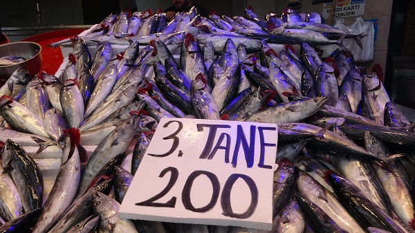 Foto - Palamut fiyatı ne kadar? Güncel balık fiyatları