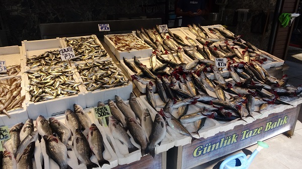 Foto - Palamut fiyatı ne kadar? Güncel balık fiyatları