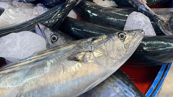 Foto - Palamut kaç lira oldu? 