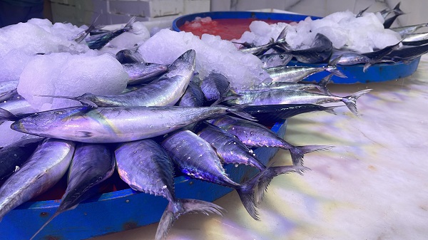 Foto - Palamut kaç lira oldu? 