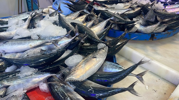 Foto - Palamut kaç lira oldu? 