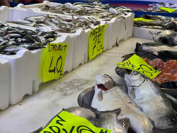 Foto - Palamut kendini gösterdi! 