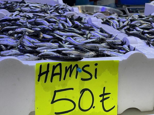 Foto - Palamut kendini gösterdi! 