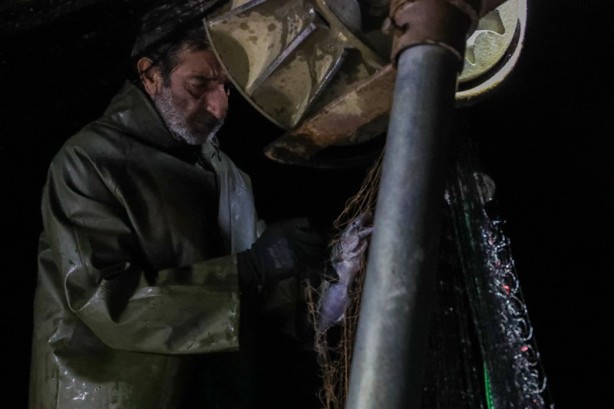Foto - Palamut mesaisi devam ediyor! Tanesi 20 liraya kadar düştü