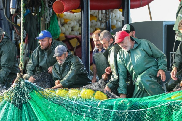 Foto - Palamut mesaisi devam ediyor! Tanesi 20 liraya kadar düştü