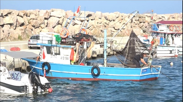 Foto - Palamuttan umutlar kesildi gözler hamside