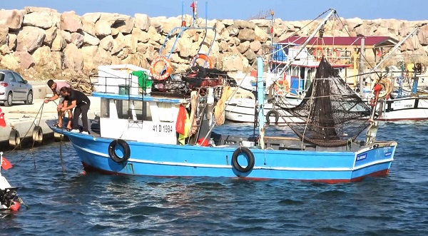 Foto - Palamuttan umutlar kesildi gözler hamside