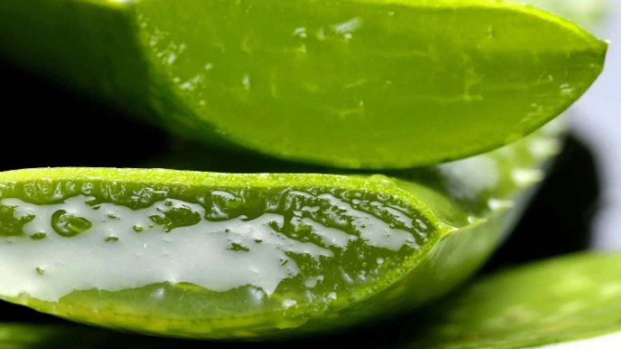 Foto - Pamuk gibi yumuşacık olacak! Kuruyan ve çatlayan ellerin doğal şifası