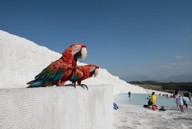 Foto - Pamukkale'deki "cehennem kapısı" ziyarete açılıyor