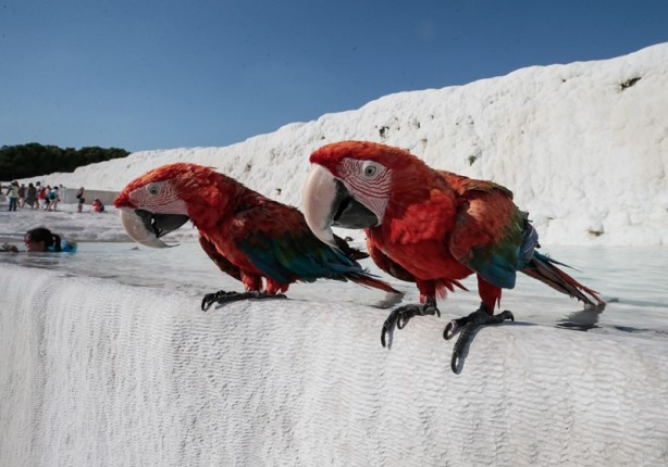 Foto - Pamukkale'deki "cehennem kapısı" ziyarete açılıyor