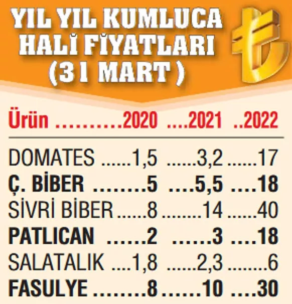 Foto - Pandemi başında 1.5 TL idi... Şimdi hal fiyatı bile el yakıyor!