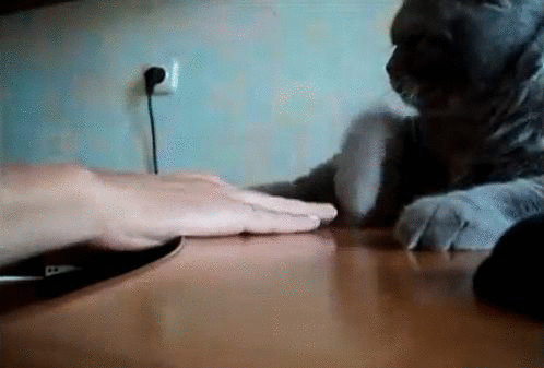 Foto - Panik atak anında bunları yapın!