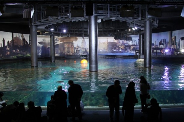 Foto - Panzehiri olmayan balık!