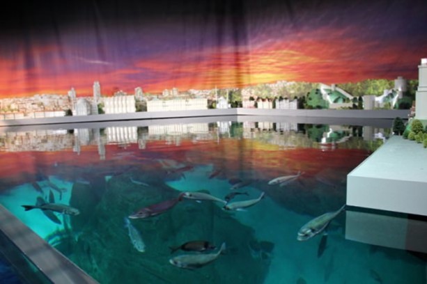 Foto - Panzehiri olmayan balık!