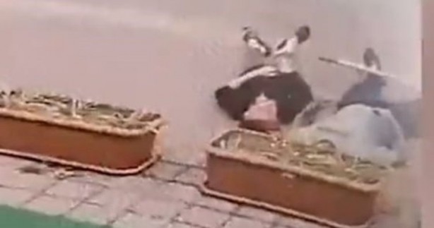 Papağanı kurtarmak isterken elektrik akımına kapılan Halil hayatını kaybetti