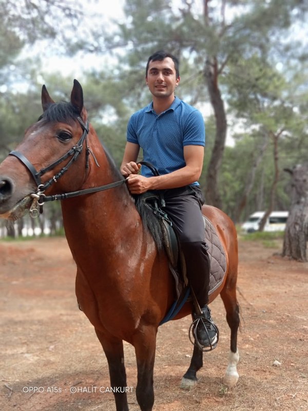 Foto - Papağanı kurtarmak isterken elektrik akımına kapılan Halil hayatını kaybetti