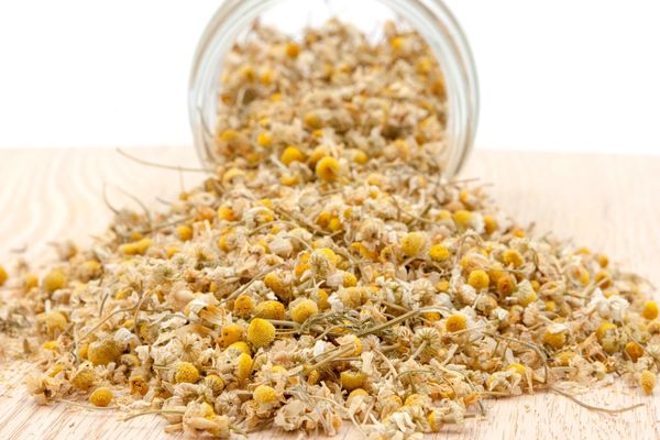 Foto - Papatya çayının bu faydalarını duyan aktara koşuyor!