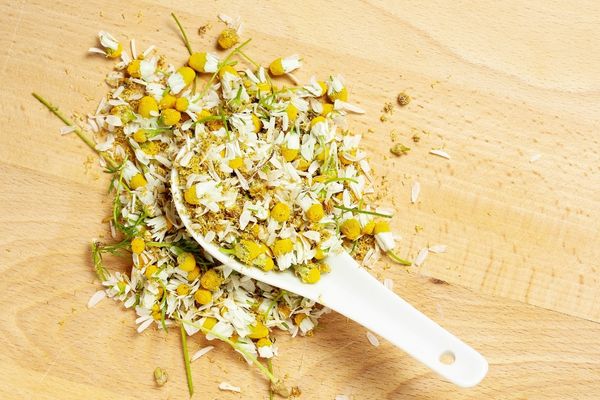 Foto - Papatya çayının bu faydalarını duyan aktara koşuyor!